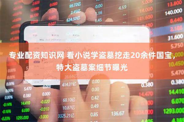 专业配资知识网 看小说学盗墓挖走20余件国宝，特大盗墓案细节曝光