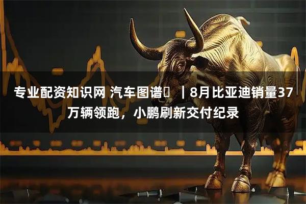 专业配资知识网 汽车图谱⑲｜8月比亚迪销量37万辆领跑，小鹏刷新交付纪录