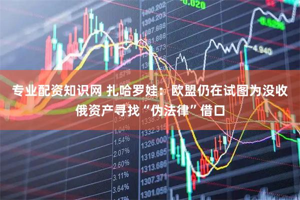 专业配资知识网 扎哈罗娃：欧盟仍在试图为没收俄资产寻找“伪法律”借口