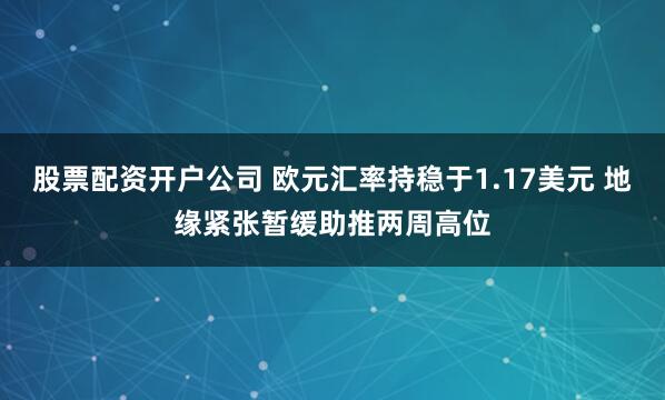 股票配资开户公司 欧元汇率持稳于1.17美元 地缘紧张暂缓助推两周高位