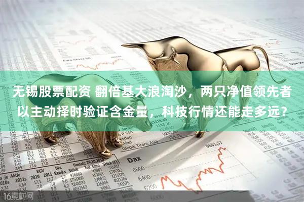 无锡股票配资 翻倍基大浪淘沙，两只净值领先者以主动择时验证含金量，科技行情还能走多远？